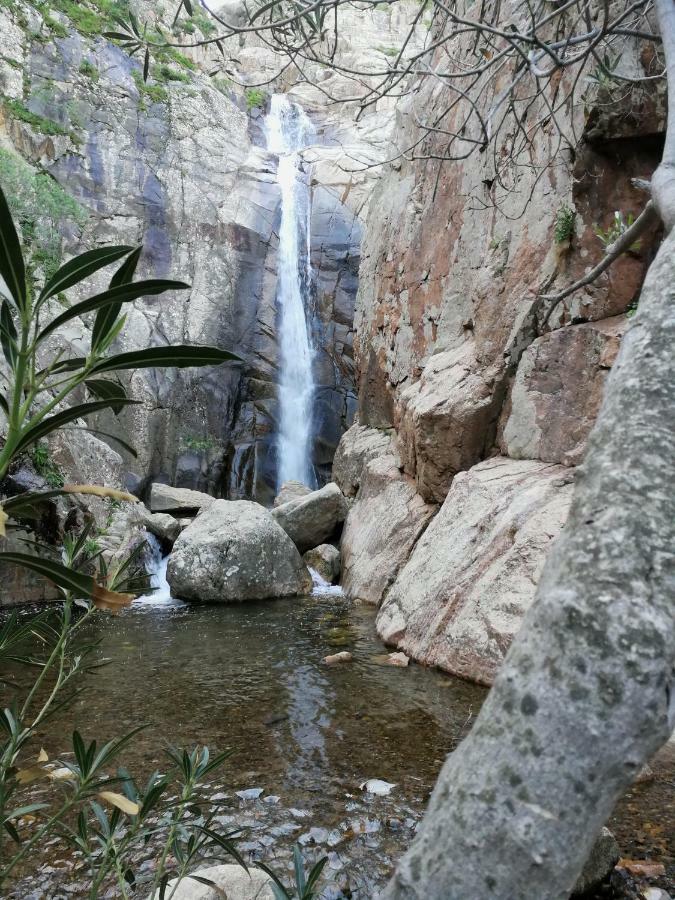 Il Giardino All'Angolo Villacidro Eksteriør billede
